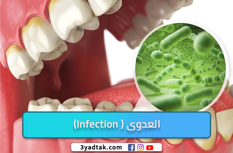 متى يخف الألم بعد خلع ضرس العقل